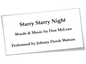 starrystarry night (vincent)