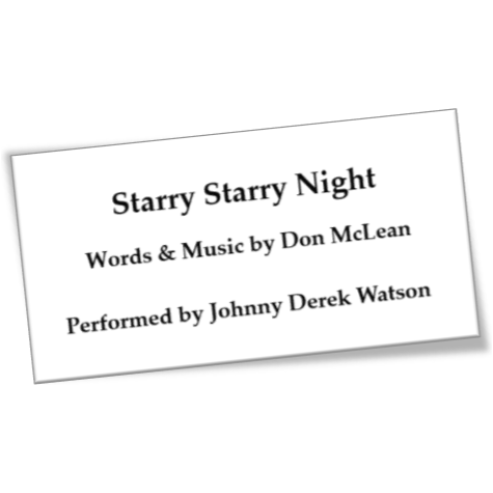 starrystarry night (vincent)